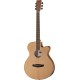 Tanglewood Discovery DBT SFCE PW M