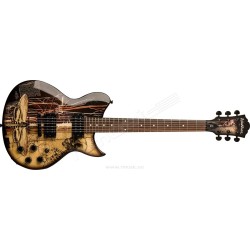 Washburn WI15 SJ Graphic "2008"