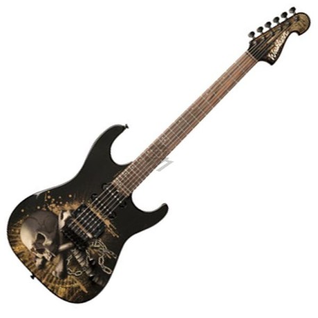 Washburn X10 SJ Graphic