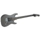 Washburn X20 Serie X