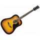 Eko Ranger 6 Eq Brown Sunburst