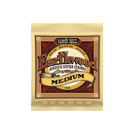 Ernie Ball Earthwood Medium