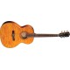 Fender GDO 300 colore Amber