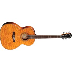 Fender GDO 300 colore Amber